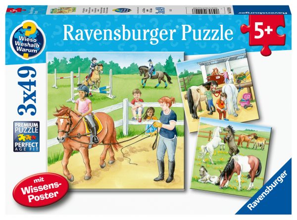 Hevosia, palapeli 3x49 palaa, Ravensburger
