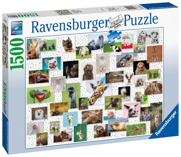 Hauskoja eläimiä, palapeli 1500 palaa, Ravensburger