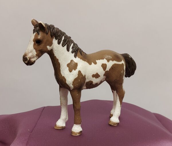 Schleich Pinto nuori hevonen, vuosikas 13695 - Image 2