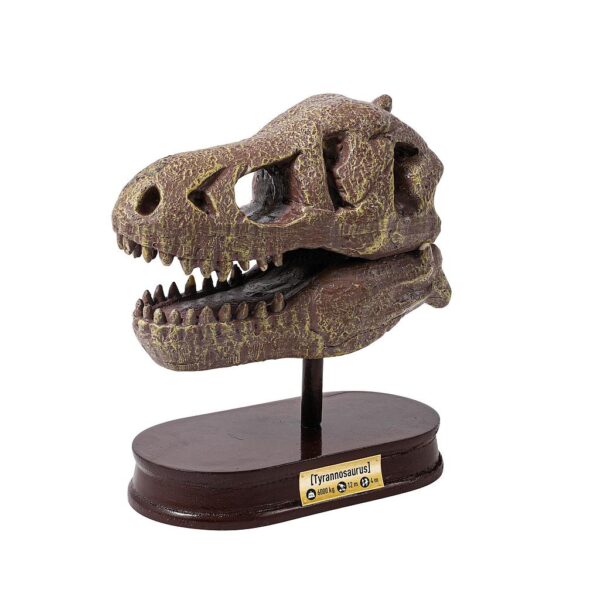 Buki Museum Tyrannosauruksen pääkallo kaivaussetti - Image 3