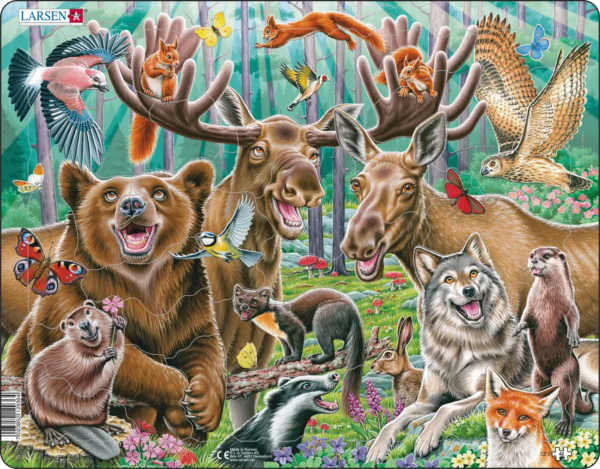 Happy Forest 42p kehyspalapeli, Larsen