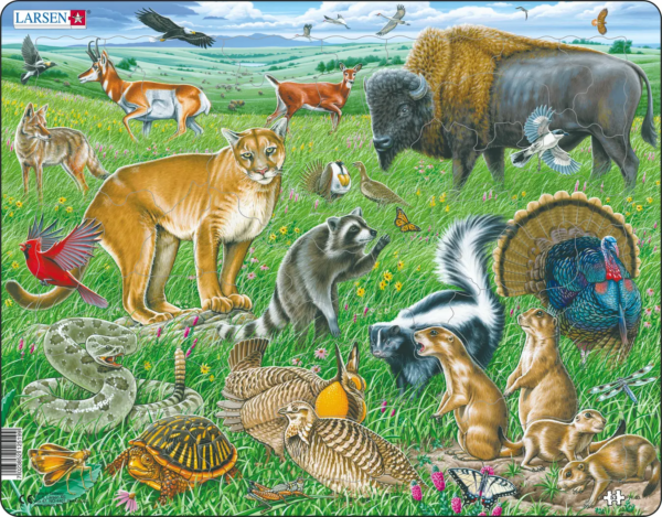 Wildlife on the Great American Prairie 53p kehyspalapeli, Larsen