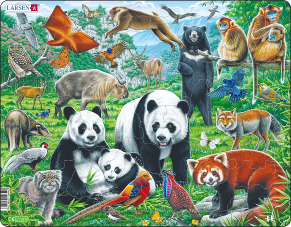 Pandakarhuperhe Kiinan vuoristotasangolla 56p kehyspalapeli, Larsen