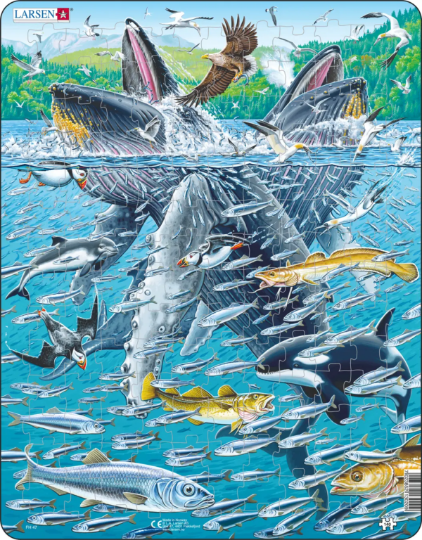 Humpback Whales in a School of Herrings 140p kehyspalapeli, Larsen