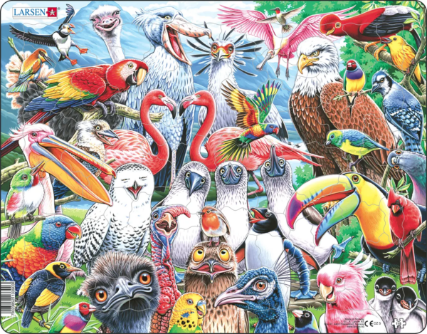 Cheerful birds from all over the world 115p kehyspalapeli, Larsen