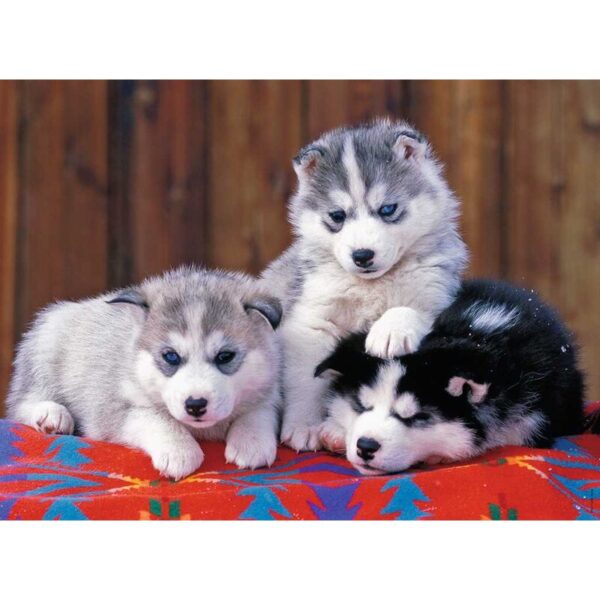 Ravensburger Puzzle 200 pc Huskies
